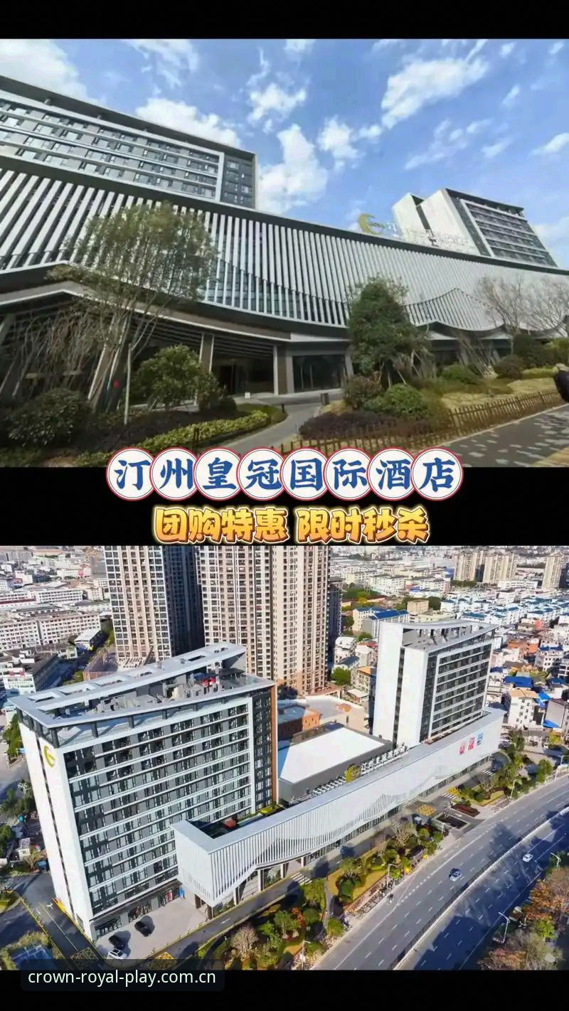 皇冠国际平台视角：解读皇家社会引援迪奥戈·莱特的操作教程